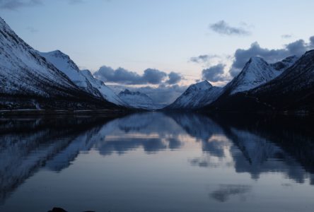 IMG_0664