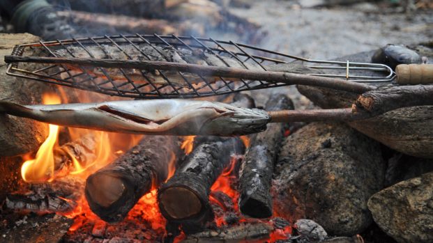 le poisson cuit au feu de boir Norvege 2