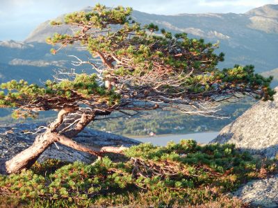 Voyage rando kayak en Norvege - Naturkajak100