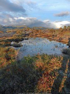 Voyage rando kayak en Norvege - Naturkajak102