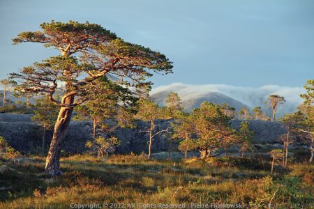 Voyage rando kayak en Norvege - Naturkajak12