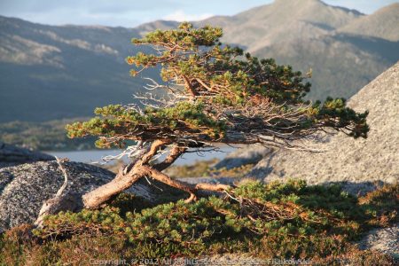 Voyage rando kayak en Norvege - Naturkajak17