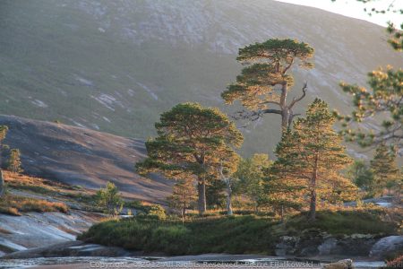 Voyage rando kayak en Norvege - Naturkajak19
