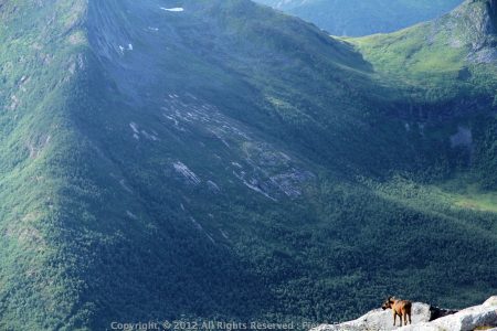 Voyage rando kayak en Norvege - Naturkajak82