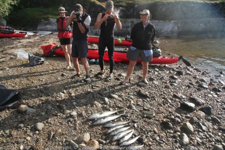 Voyage rando kayak en Norvege - Naturkajak92